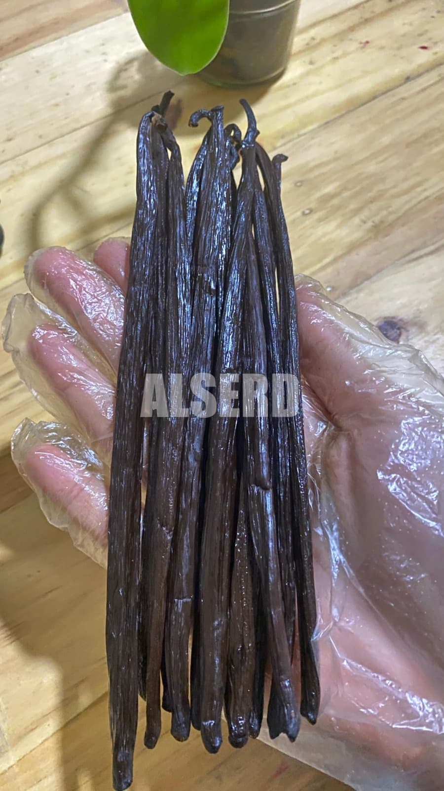 Vanilla Products